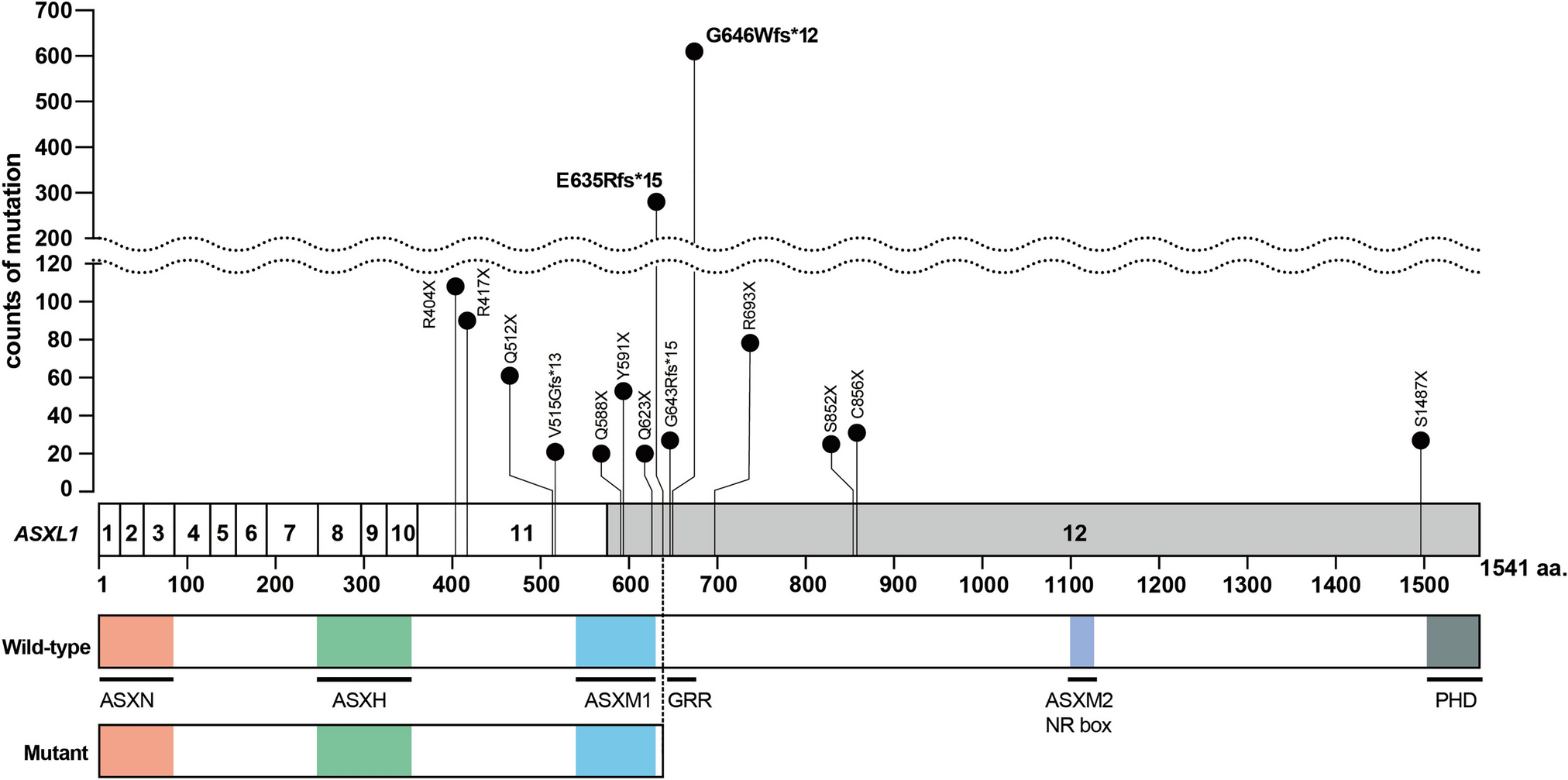 mutation-related clonal hematopoiesis and age-related diseases: clinical evidence and molecular insights