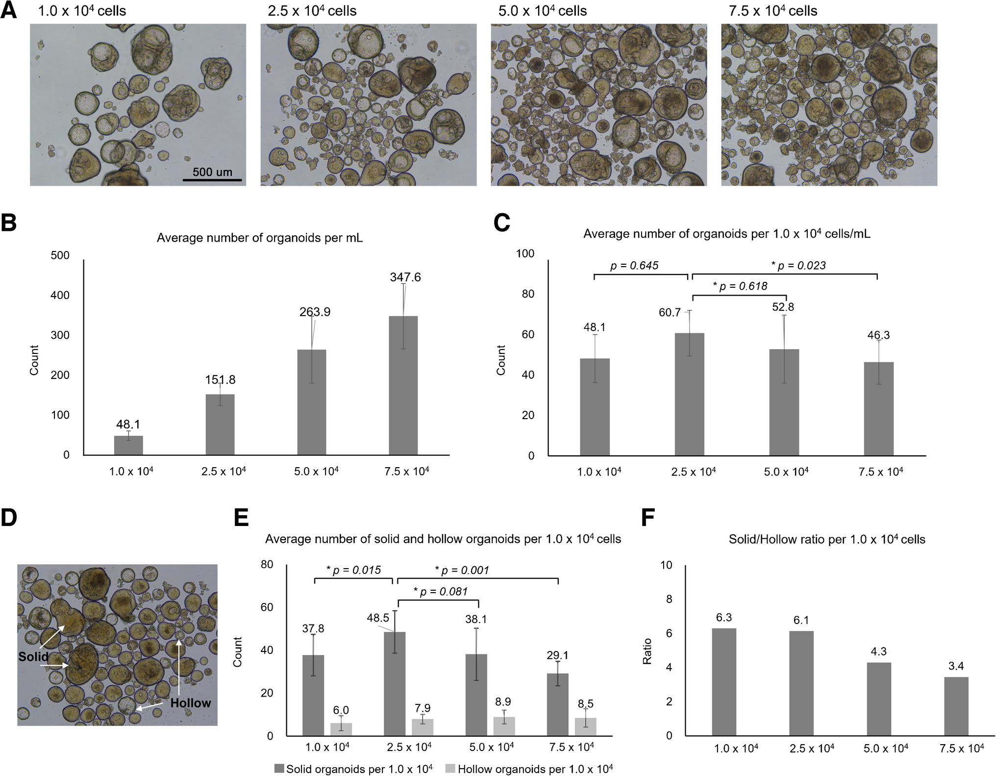 Analysis of miRNAs from Inner Ear Organoid-Derived Extracellular Vesicles