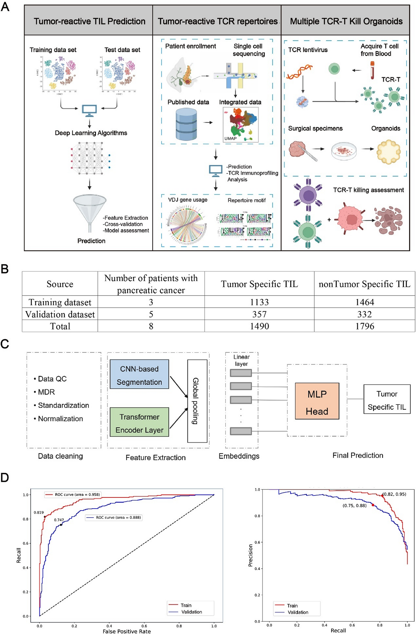 Functional tumor-reactive CD8 + T cells in pancreatic cancer