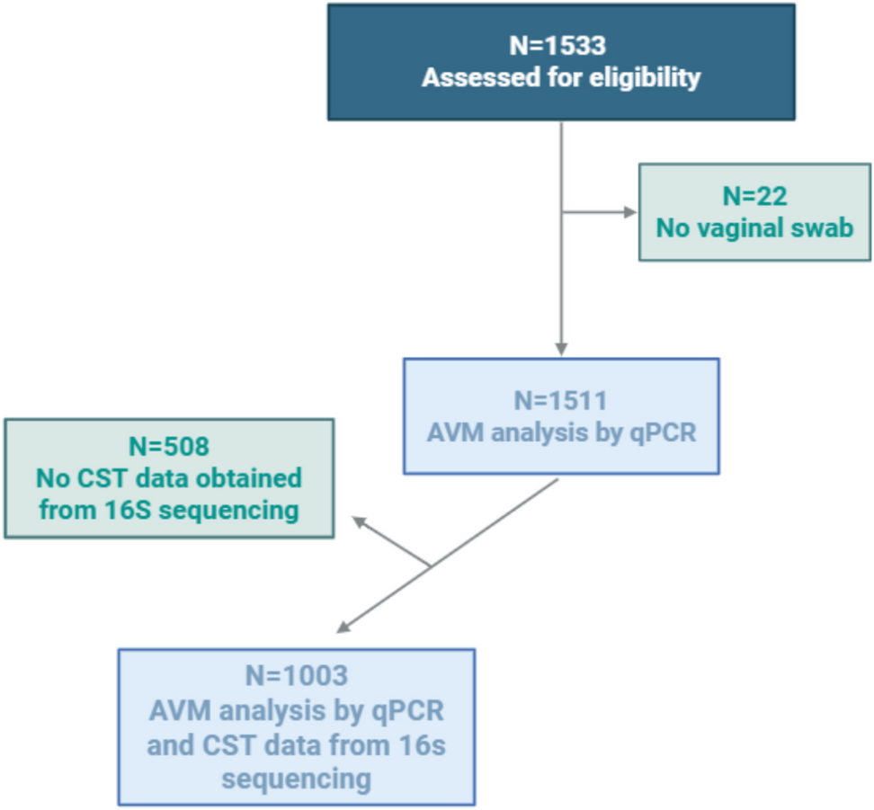 Vaginal microbiota correlations to gynecological symptoms, intimate hygiene practices, and background parameters of IVF patients: a cross-sectional study