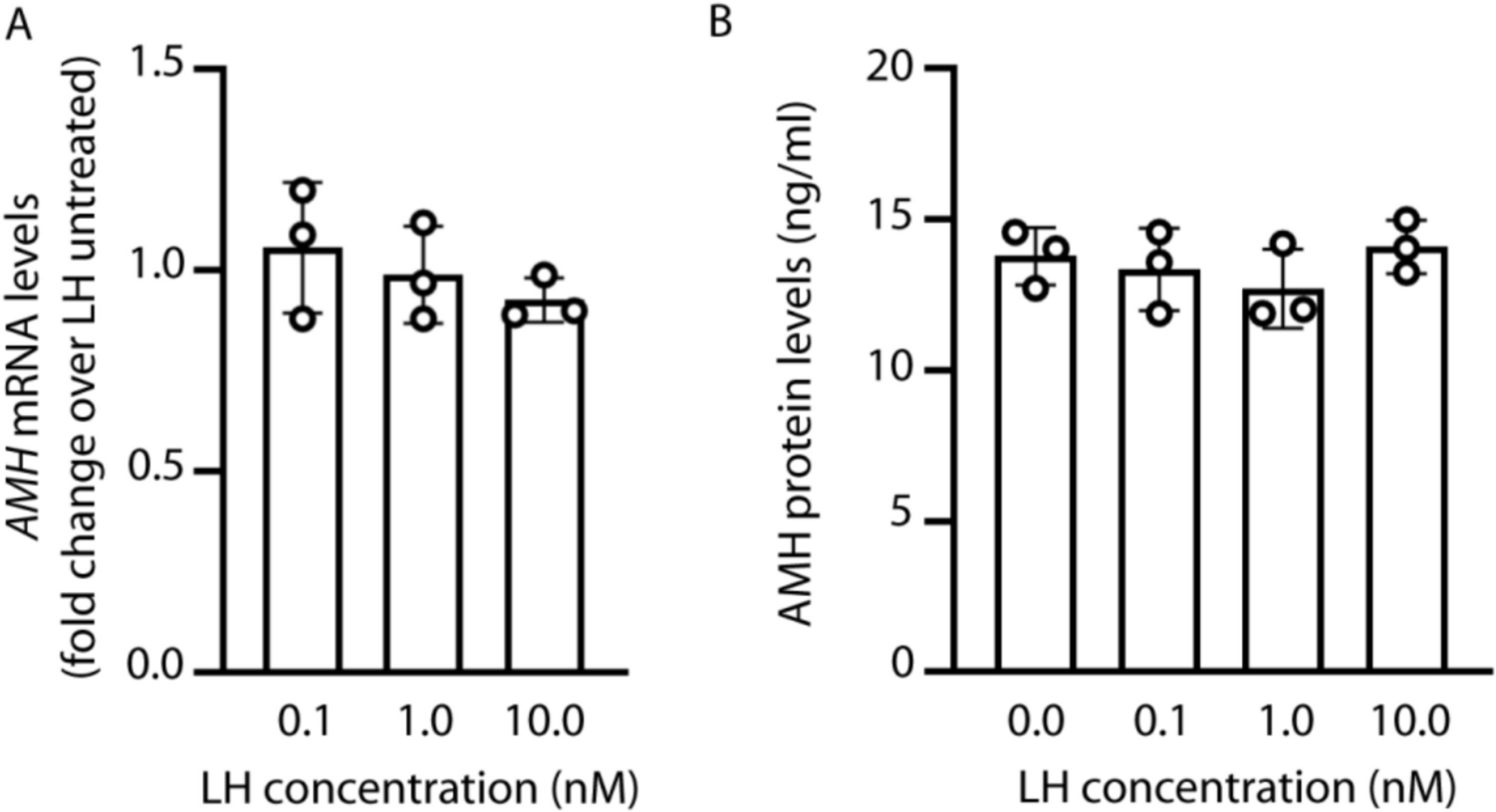 LH prevents AMH action via receptor downregulation in human primary granulosa lutein cells
