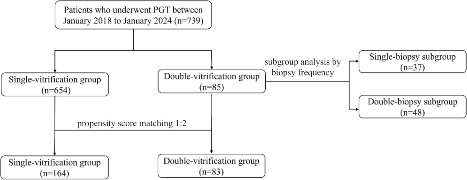 Impact of repeated vitrification and biopsy on the developmental potential of blastocysts and clinical outcomes: A retrospective propensity-score-matched cohort study
