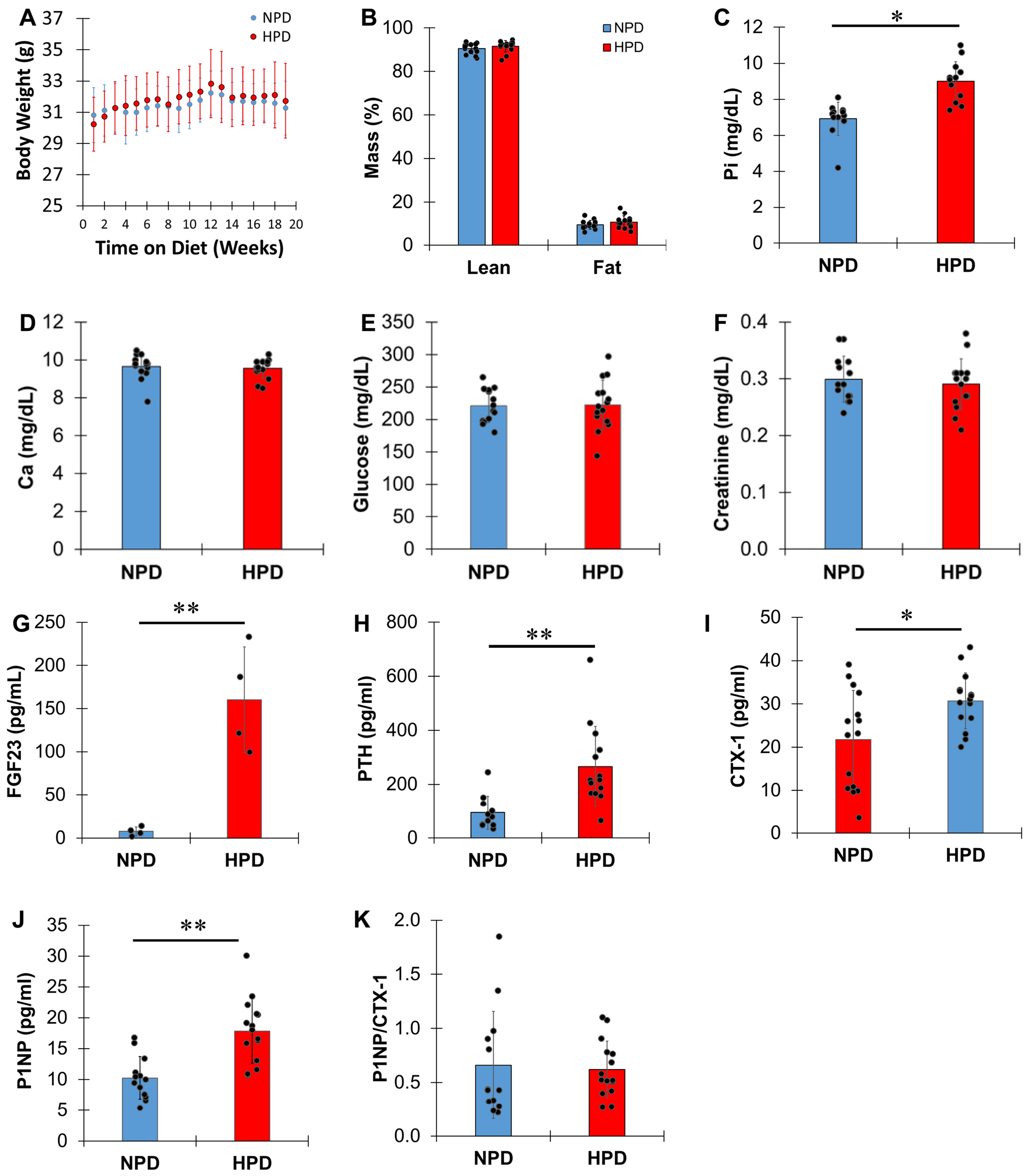 Multiscale Analysis Reveals Altered Characteristics in Femur and Mandible of Mice on a High Phosphate Diet