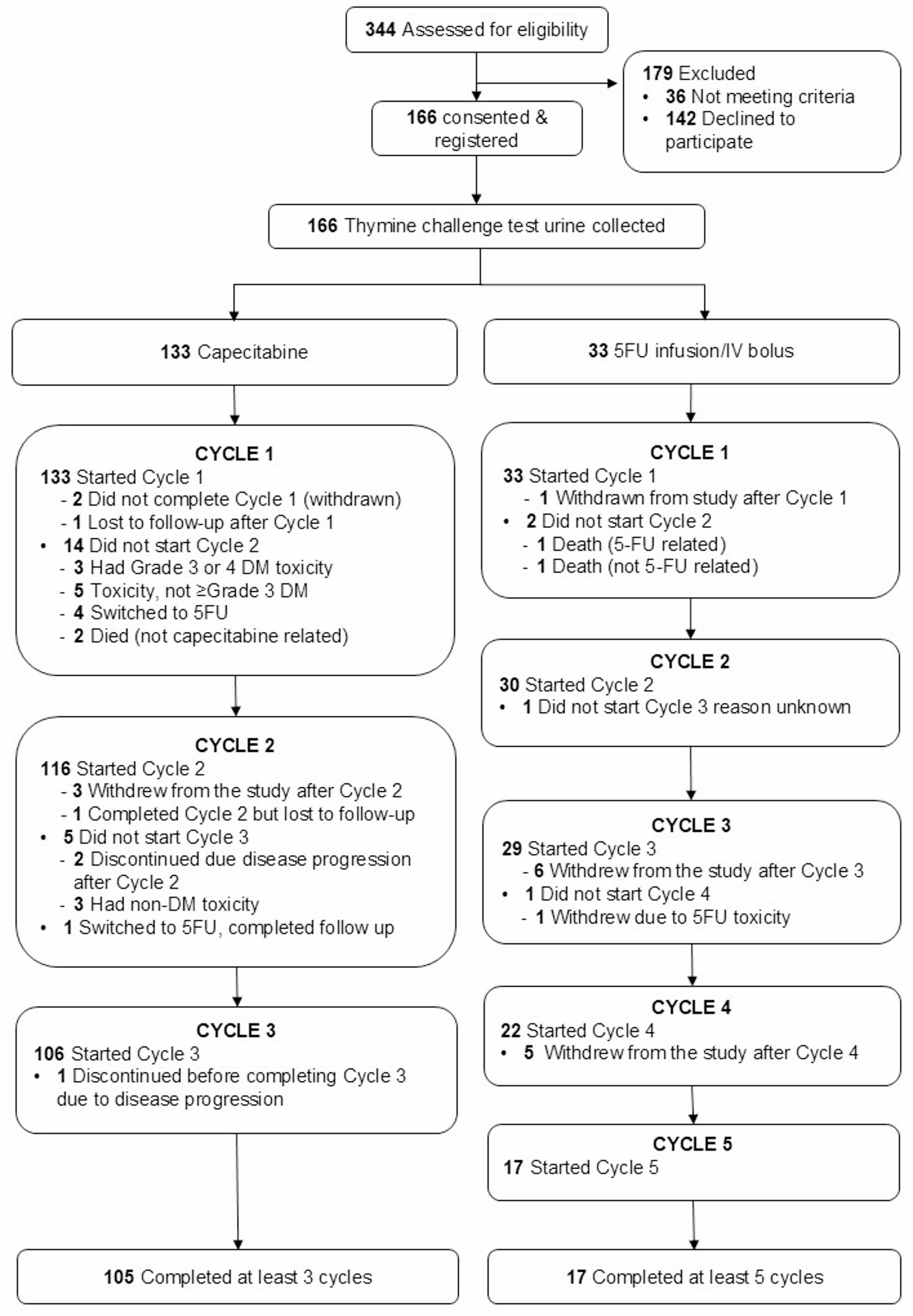 A thymine-challenge test to prospectively evaluate dihydropyrimidine dehydrogenase activity for risk of severe 5-fluorouracil-induced gastrointestinal toxicity