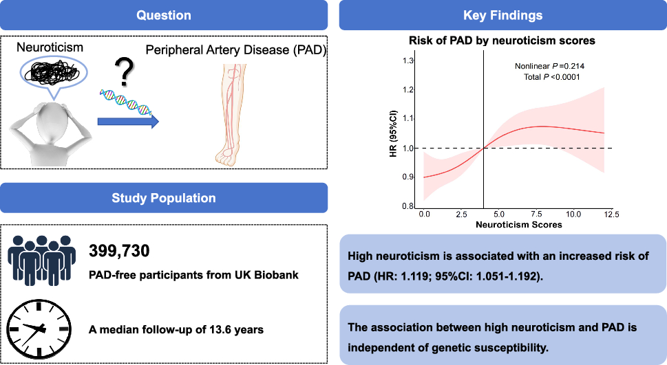 Association between neuroticism, genetic susceptibility, and peripheral artery disease risk: a prospective study in UK Biobank