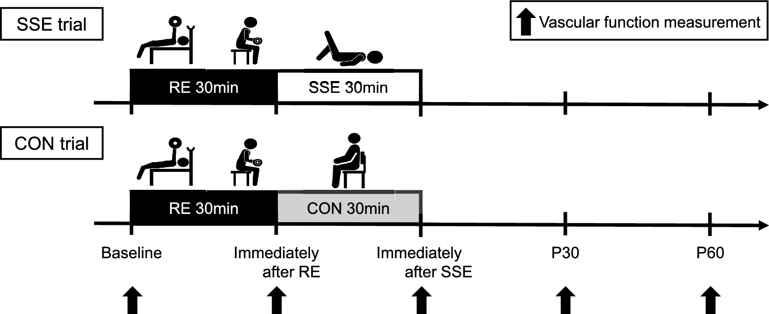 Acute effect of static stretching on arterial stiffness following high-intensity resistance exercise