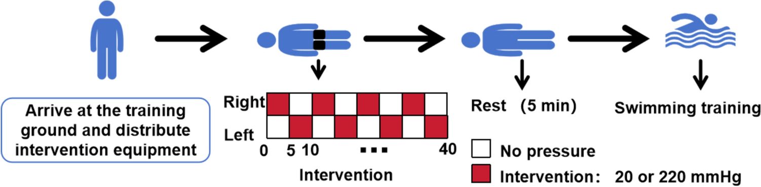 Effects of 8-week ischemic preconditioning on swimming performance and power output in male 100-m freestyle swimmers: a randomized controlled trial
