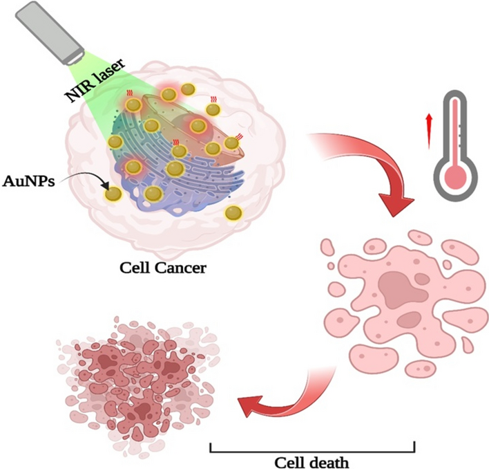 Quercetin-mediated synthesis of stable and biocompatible gold nanoparticles for enhanced photothermal therapy