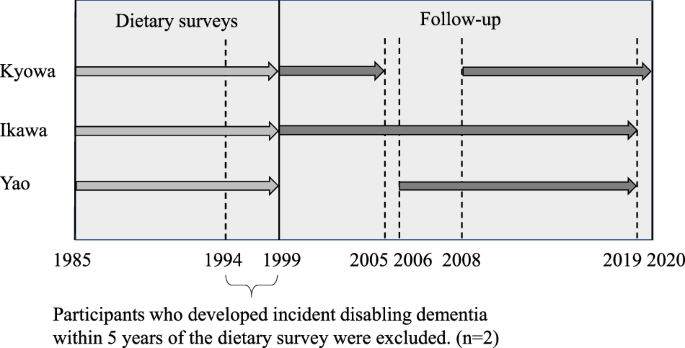 Dietary intake of folate, vitamin B6, vitamin B12, and riboflavin and the risk of incident dementia