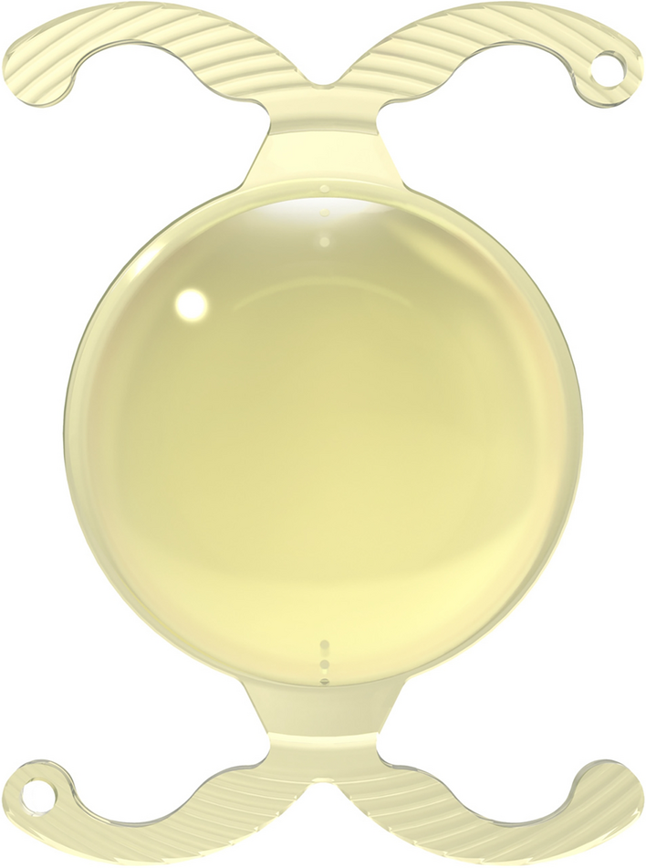 Clinical performance of a hydrophobic acrylic toric intraocular lens with a double C-loop haptics in Japanese patients