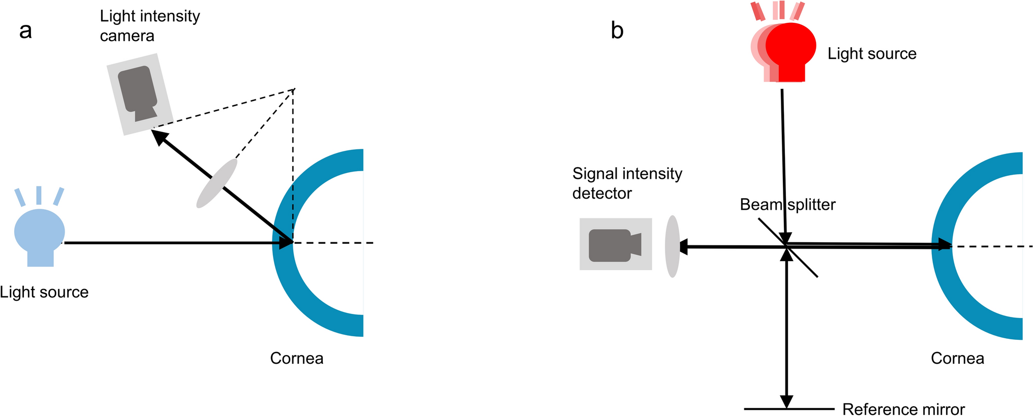 Correlation between visual function and corneal backscatter by Scheimpflug imaging or anterior segment optical coherence tomography in Fuchs endothelial corneal dystrophy