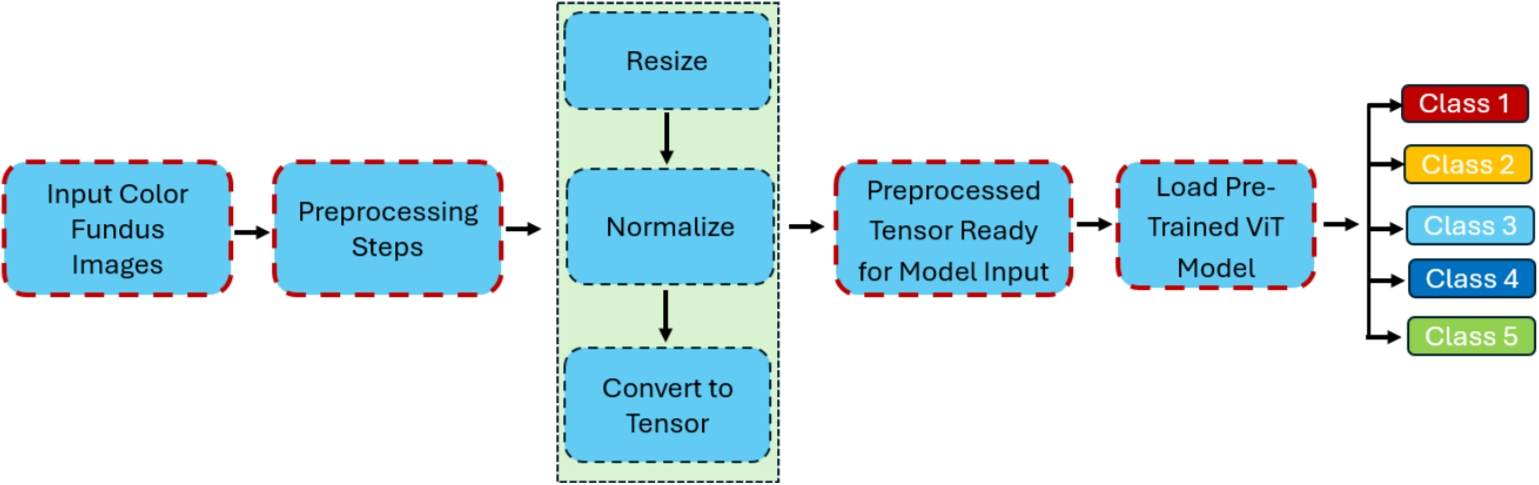 OcuViT: A Vision Transformer-Based Approach for Automated Diabetic Retinopathy and AMD Classification