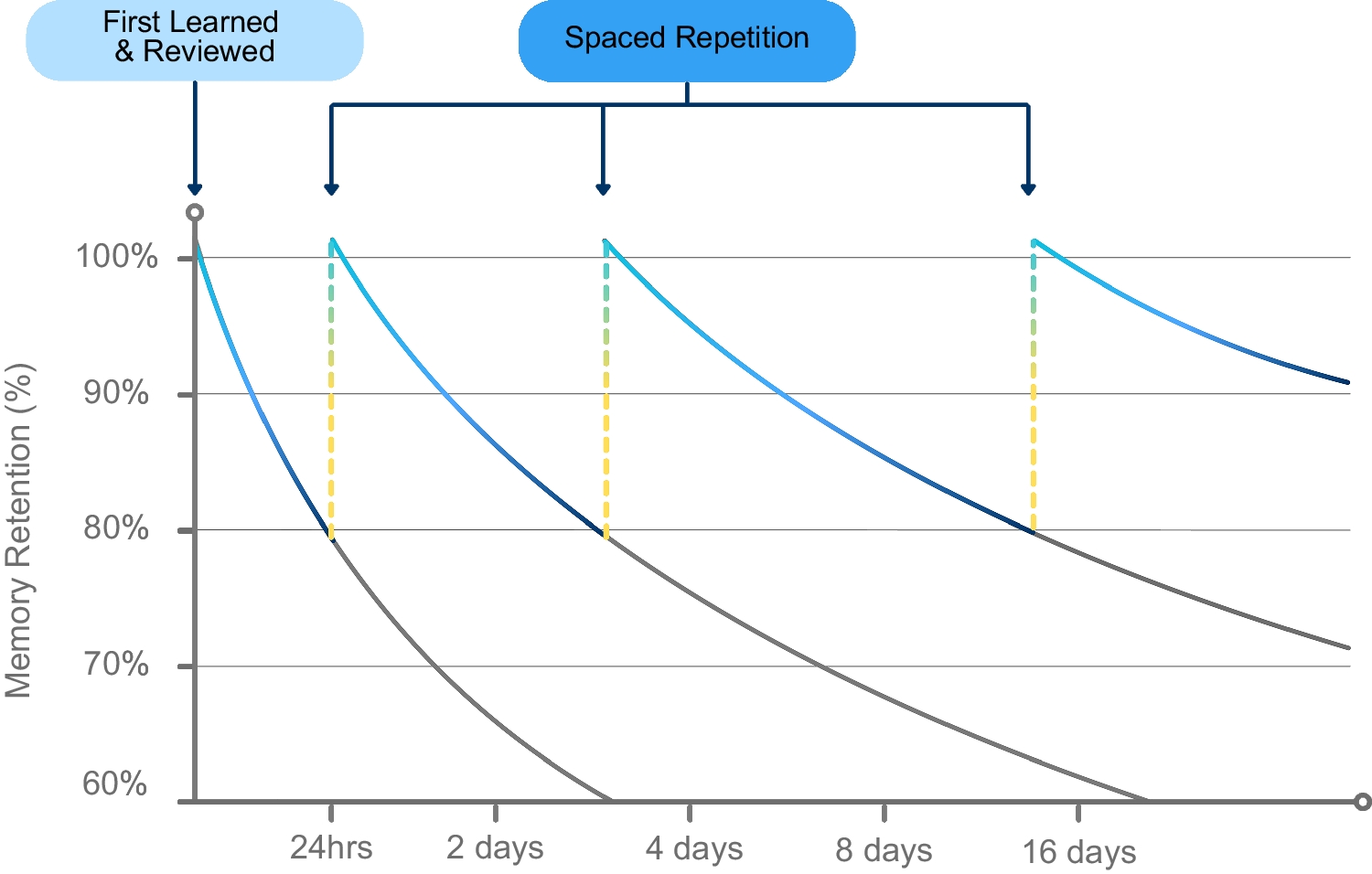 Application of Anki Flashcards in Medical Education: A Narrative Review