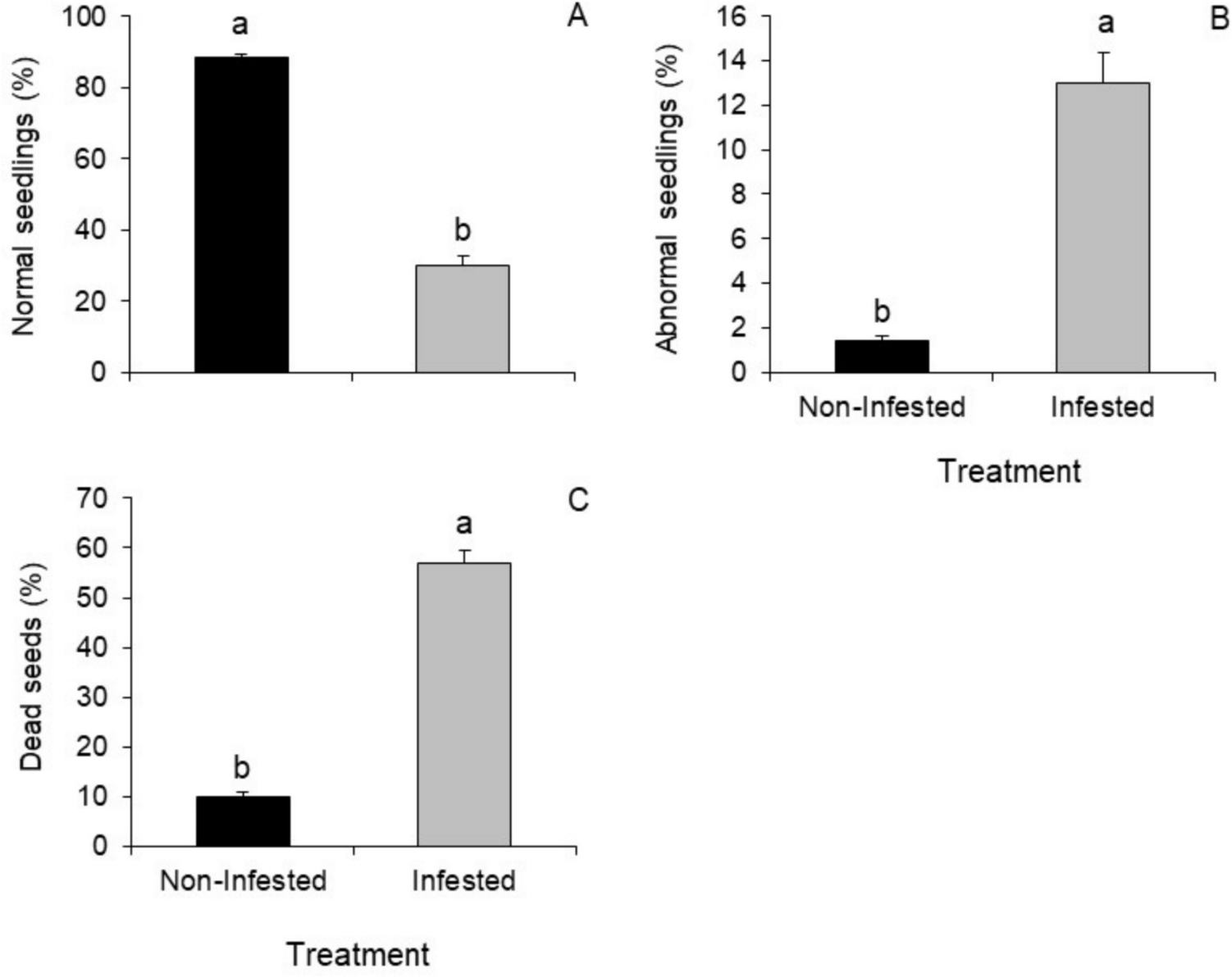 The Impact of  L. (Heteroptera: Pentatomidae) Feeding on Canola Seed Germination and Chemical Quality