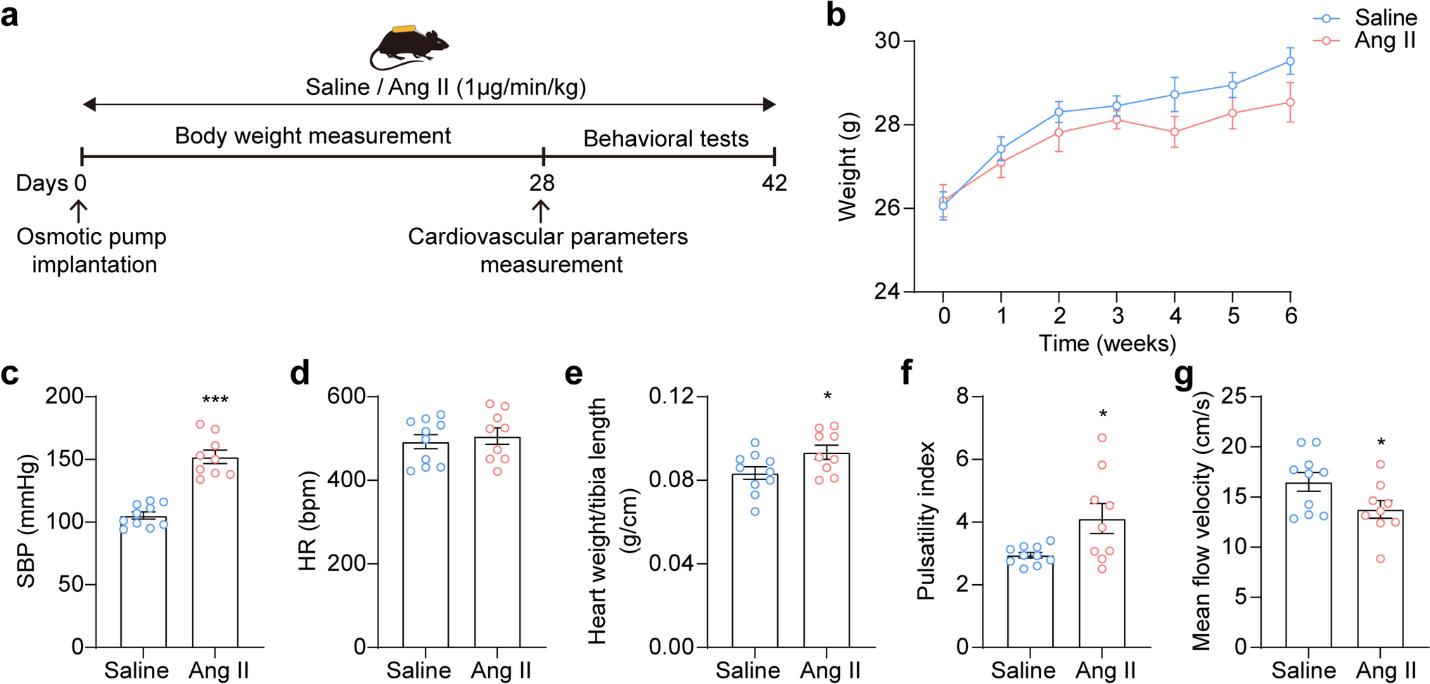 Hypertension Induces Cognitive Impairment and Alterations of Acetylcholine Receptor mRNA Expression in the Hippocampus and Cortex of Mice