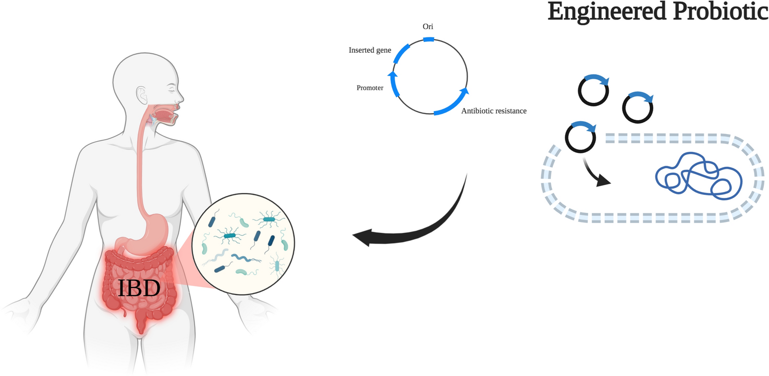 Engineering the Microbiome: a Novel Approach to Managing Autoimmune Diseases