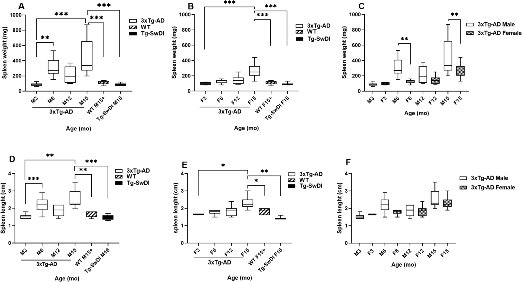 Splenomegaly, Spleen Amyloidosis and Neutrophil Infiltration are Present in 3xTg-AD, but not Tg-SwDI Mice