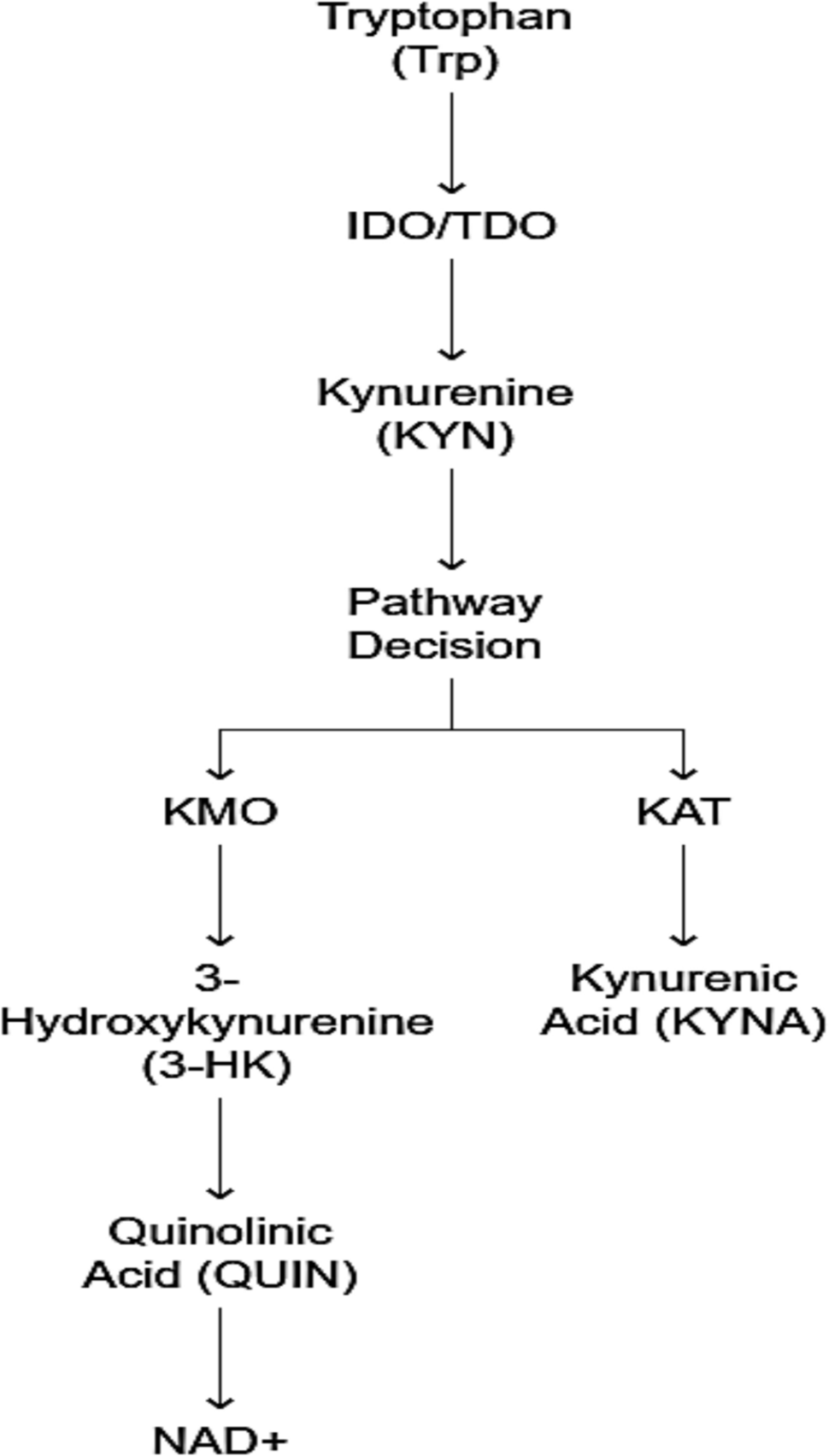 Kynurenine Pathway Modulation by Exercise in Multiple Sclerosis: Implications for Neuroprotection and Inflammation